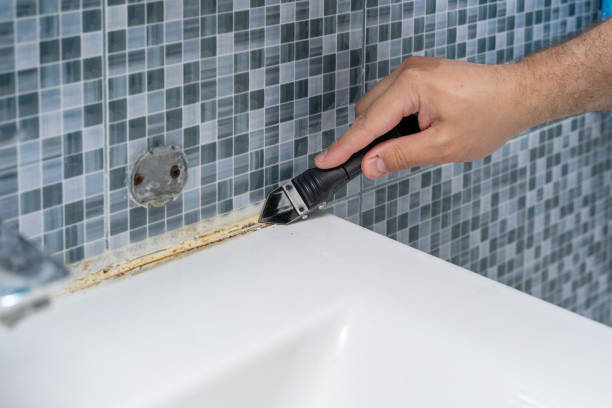 Best Preventive Mold Services in Wedgefield, SC